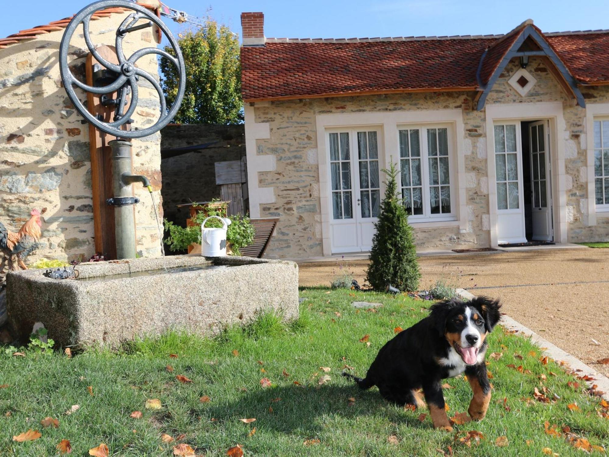 Gite L'Orangerie Villa Mouchamps Buitenkant foto
