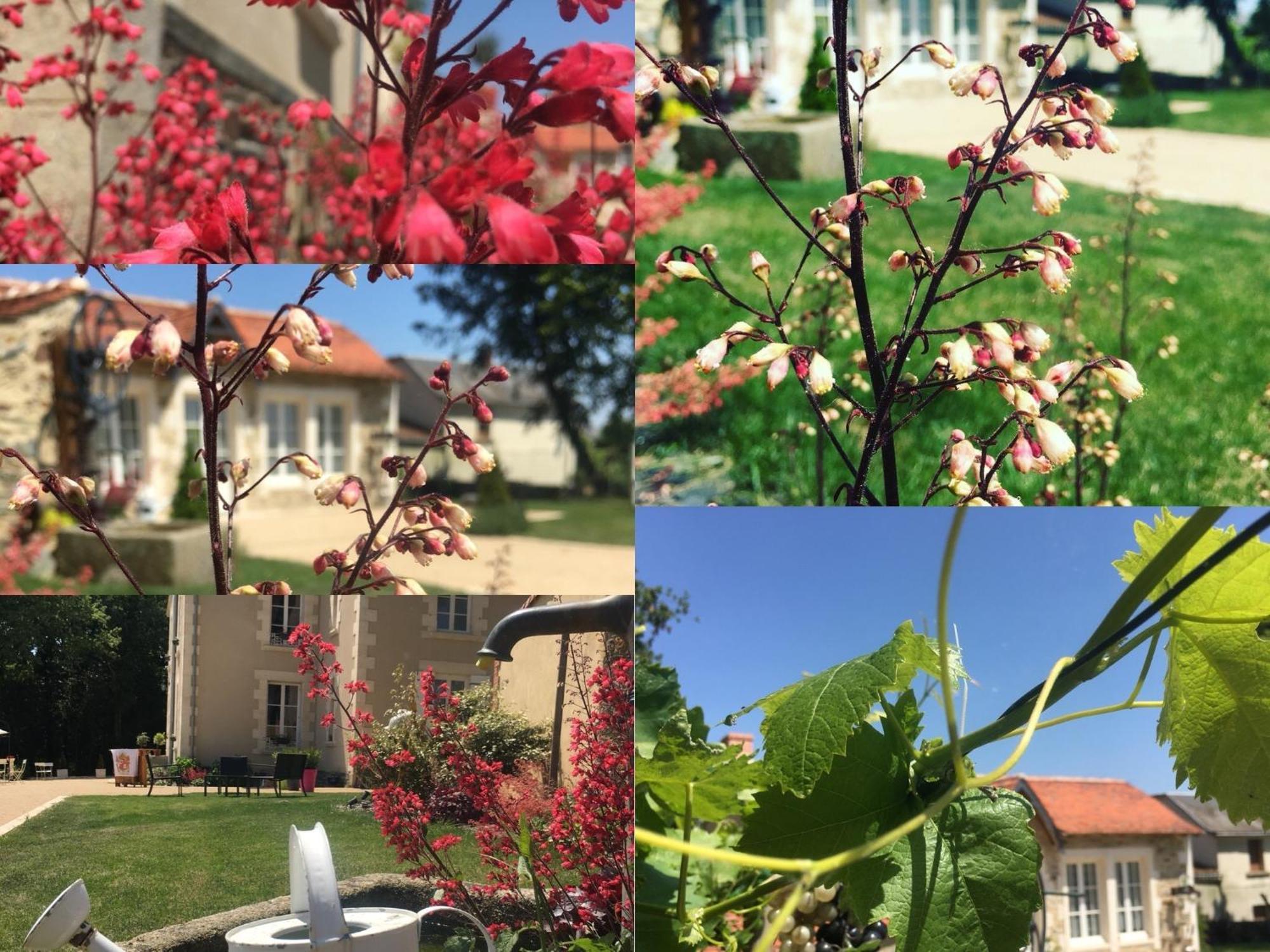 Gite L'Orangerie Villa Mouchamps Buitenkant foto